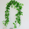 仿真绿萝藤条假绿植物叶子，藤蔓缠绕花藤爬墙ins塑料吊顶装饰树叶