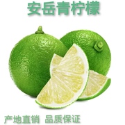 正宗四川安岳青柠檬2022新鲜柠檬现摘水果非海南青柠檬非无籽青柠