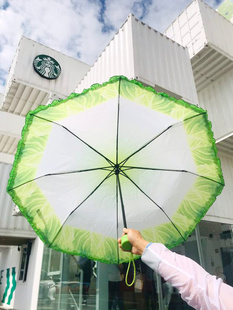 大白菜雨伞创意黑胶，防晒遮阳伞晴雨两用折叠伞女防紫外线2024