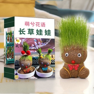 彩盒包装好创意草头娃娃绿植桌面水培儿童好养长草植物幼儿园盆栽