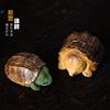 紫砂茶宠龟摆件乌龟富甲一方，金钱龟茶虫雕塑，茶具茶道配件