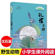 孔雀斗舞 野生动物救助站系列 动物小说大王沈溪石 守护原始森林 增强孩子环境保护意识 人与自然和谐相处 小学生课外阅读书籍小说