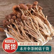 500g古田农家茶树菇特级不开伞2023新鲜茶薪菇干货250g香菇蘑菇