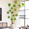 客厅装饰品摆件百合竹仿真绿植玄关电视柜轻奢高档假植物落地摆件
