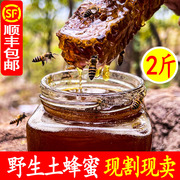 蜂蜜纯正天然木桶土，蜂蜜农家自产秦岭正宗野生成熟原蜜礼盒