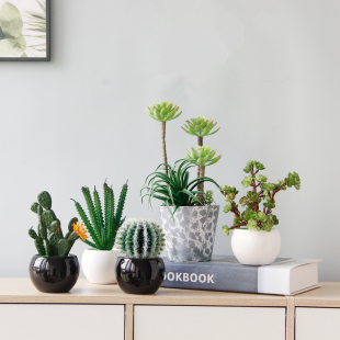 创意室内桌面假花仿真绿植装饰摆件家居茶几植物盆栽仙人掌盆景