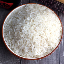 长粒香新米大米250g半斤东北农家长粒大米香米现磨新米食用