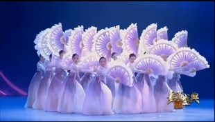 原版春晚朝鲜族舞蹈心灵之翼扇子，朝鲜舞扇子专业舞台表演扇羽毛扇