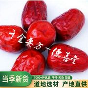 红枣新疆特产阿克苏三级500g玉枣和田枣大枣子