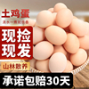 白荡里鸡蛋安徽正宗土鸡蛋农家散养新鲜柴草鸡蛋笨鸡蛋山鸡蛋20枚