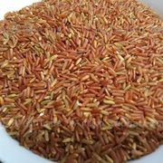 新米井冈山红米红糙米5斤五谷杂粮粗粮红米饭健身脂减胚芽粳米