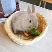 兔子窝草窝用品兔兔用品全套，躲避屋窝垫垂耳兔产箱薄膜，产仔箱防咬