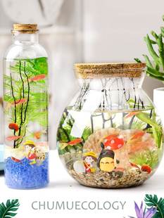 生态瓶科学diy微景观，玻璃瓶小鱼生态瓶，成品小学生科学课作业套装