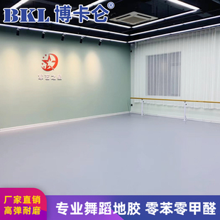 专业舞蹈房教室专用地，胶幼儿园环保室内pvc塑胶，地板芭蕾街舞地垫