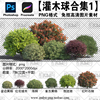 灌木球png免抠ps透明底平立面常绿造型植物procreate高清图片素材