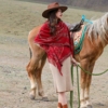 民族风披肩两用女针织，斗篷毛衣红色保暖围巾，新疆青海旅行披风外套