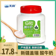 新疆天润盖瑞酸奶大桶装1.2kg水果捞网红原味，浓缩风味老酸奶