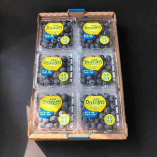 云南当季限量版怡颗莓蓝莓王12盒兰莓超大蓝梅鲜果1箱2