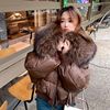 商场白鸭绒欧货超大貉子毛领短款面包羽绒服女2023年冬季外套
