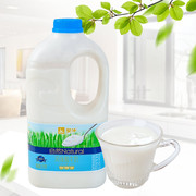 蒙牛酸奶大桶装原味自然纯酸奶低温牛奶1.1kg*2桶/1早餐奶水果捞