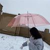 「糖果色的阴天」韩国半自动情侣森系直杆伞 拍照长柄彩透明雨伞