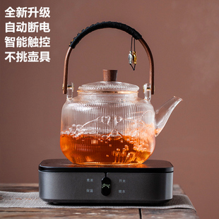 电陶炉煮茶炉小型煮茶器，2024家用烧水泡茶煮茶壶电热茶具套装