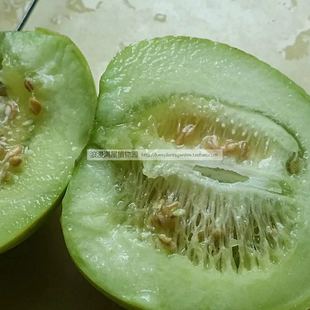农家传统绿皮香瓜甜瓜种子瓜果，蔬果水果家庭阳台易种四季播菜籽