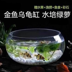 多功能客厅普通玻璃鱼缸摆件小型创意圆形玄关养鱼装饰水族饰品