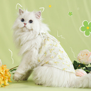 猫咪衣服春秋款布偶猫猫小猫夏季舒适防掉毛背心夏天薄款宠物裙子