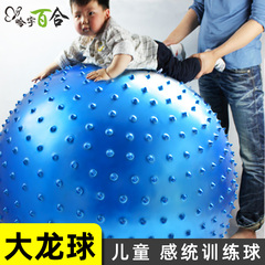 哈宇瑜伽球宝宝儿童感统训练大龙球100cm婴儿加厚健身球环保