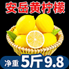 华秧安岳黄柠檬(黄柠檬，)5斤新鲜水果当季现摘皮薄，一二级香水小青金桔柠檬