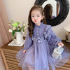 韩国童装女童连衣裙春秋洋气，宝宝紫色长袖，公主裙女孩网红蓬蓬纱裙