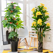 发财树绿植假树仿真植物，盆栽大型客厅，落地室内装饰摆件塑料花盆景