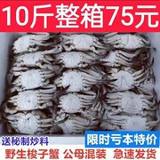 梭子蟹新鲜冷冻蟹飞蟹公蟹母蟹香辣蟹螃蟹海鲜水产净重7斤