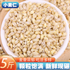 新货小麦仁5斤农家自产去皮小麦仁燕麦，米小麦胚芽五谷杂粮粗粮
