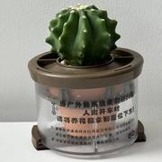 汽车植物摆件车载氧吧车栽真花绿植养花器车内空气净化器吸甲