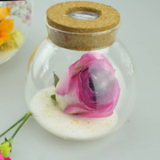 微景观生态瓶软木塞圆形玻璃瓶菠萝瓶干花创意永生花密封保存