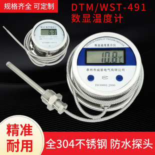 数显温度计带探头WST/DTM491带线高精度耐酸防水数字工业测水温表