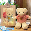 礼盒小熊玩偶泰迪熊毛绒玩具，公仔陪娃娃生日，520送女友情人节礼物