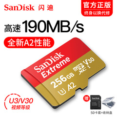 高速存储卡256g内存卡microSD卡