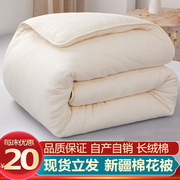 新疆棉被一级全棉被芯纯棉花棉，絮棉花被床垫加厚保暖冬被手工被子