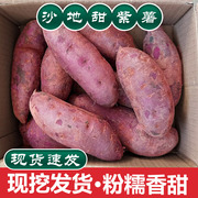 紫薯新鲜沙地红薯番薯地瓜，蜜薯糖心9斤当日现挖特级紫薯农家自种