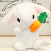 会学说话的兔子复读玩偶小白兔唱歌跳舞儿童电动毛绒布娃娃玩具女