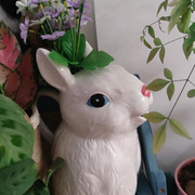 陶瓷可爱兔子花瓶装饰摆件鲜花大号家用水培插花器ins创意干花