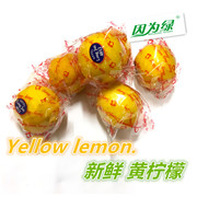 新鲜柠檬黄柠檬(黄柠檬，)尤力克柠檬，切皮泡水500g江浙沪皖5件