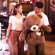 泰迪熊熊猫公仔毛绒玩具抱抱熊大号，玩偶布娃娃送女友1.2米礼物1.8