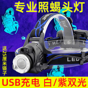 照蝎子专用灯头强光，头戴式手电筒可充电照豆虫灯超亮紫光usb充电