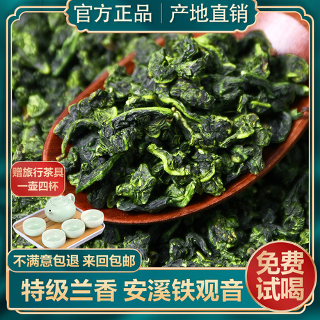 安溪铁观音高山春茶