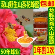 2023年深山野茶花蜂蜜500克新鲜义江蜜蜂园农家，自产成熟蜂蜜