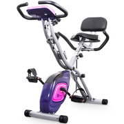 雷克 家用折叠磁控式小型迷你运动塑身室内锻炼健身车动感单车